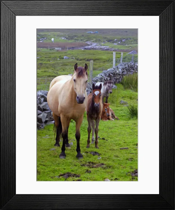 Framed Print : DDE-90031956 Framed Print : DDE-90031956