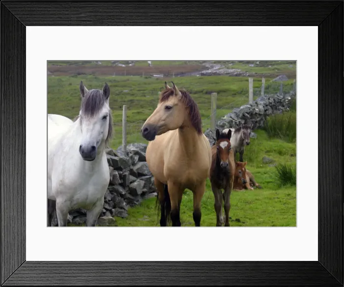 Framed Print : DDE-90031957 Framed Print : DDE-90031957