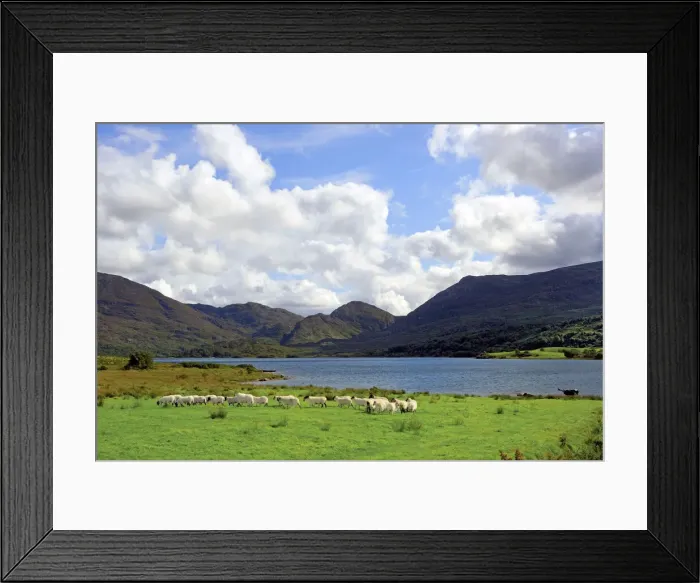 Framed Print : DDE-90031970 Framed Print : DDE-90031970