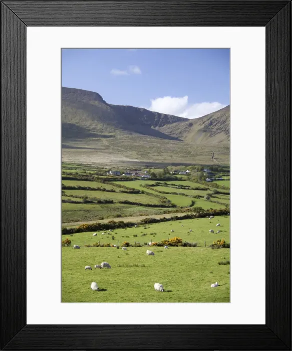 Framed Print : DDE-90031974 Framed Print : DDE-90031974