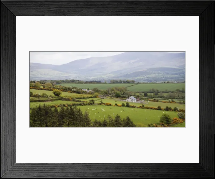 Framed Print : DDE-90031976 Framed Print : DDE-90031976