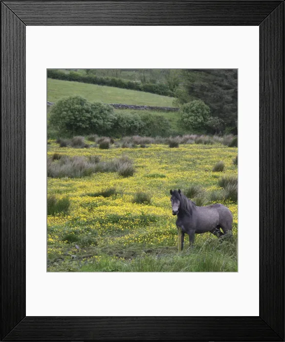Framed Print : DDE-90031977 Framed Print : DDE-90031977