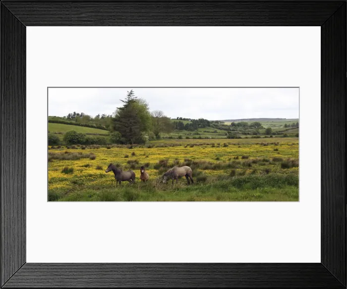 Framed Print : DDE-90031978 Framed Print : DDE-90031978