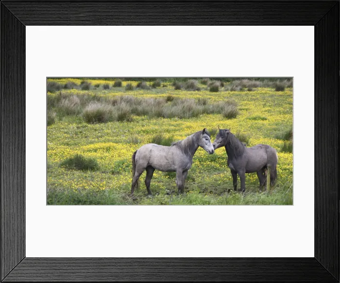 Framed Print : DDE-90031979 Framed Print : DDE-90031979