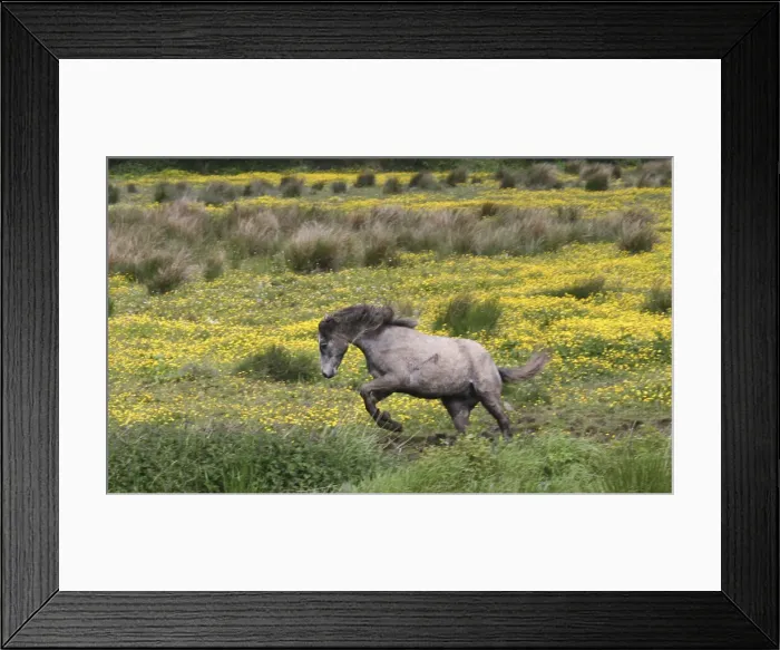 Framed Print : DDE-90031983 Framed Print : DDE-90031983