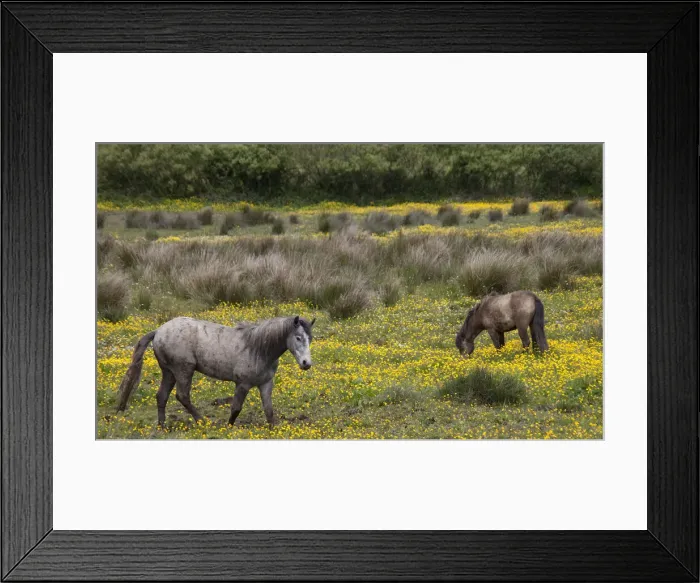 Framed Print : DDE-90031985 Framed Print : DDE-90031985