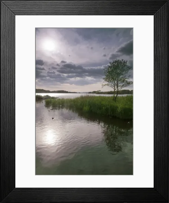 Framed Print : DDE-90032000 Framed Print : DDE-90032000