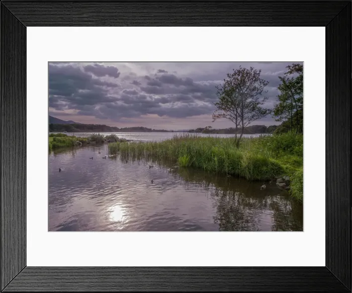 Framed Print : DDE-90031999 Framed Print : DDE-90031999