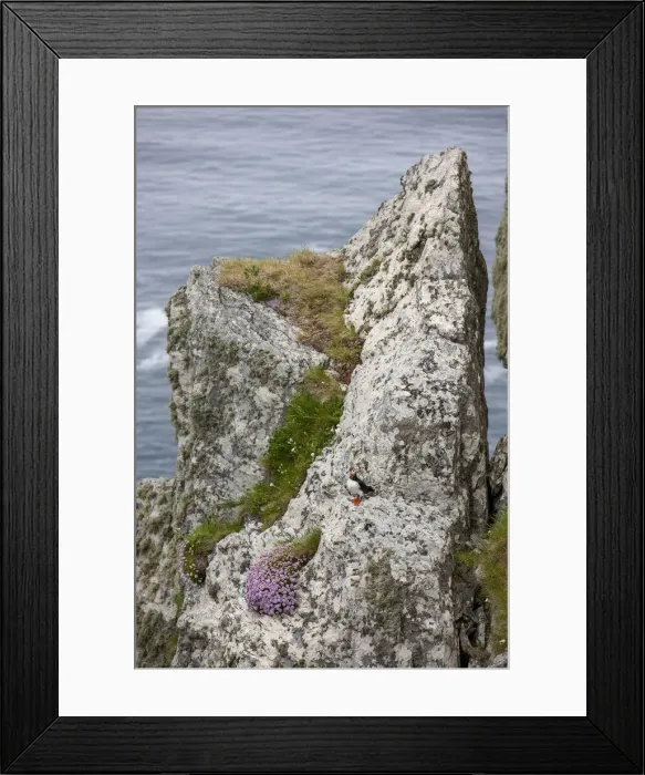 Framed Print : DDE-90032002 Framed Print : DDE-90032002