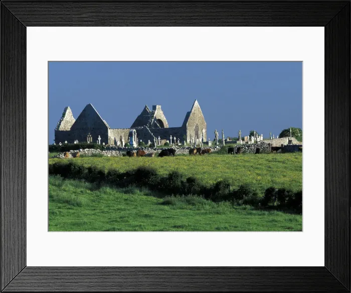 Framed Print : DDE-90032007 Framed Print : DDE-90032007