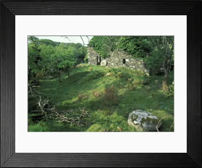 Framed Print : DDE-90032011 Framed Print : DDE-90032011