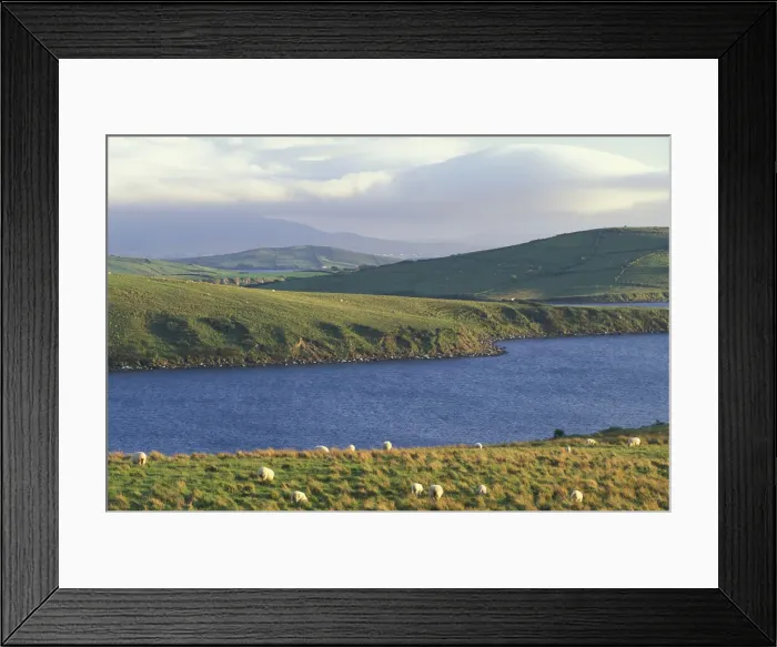 Framed Print : DDE-90032015 Framed Print : DDE-90032015