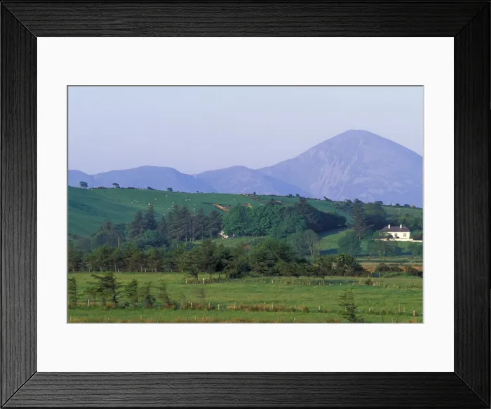Framed Print : DDE-90032016 Framed Print : DDE-90032016