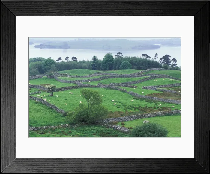 Framed Print : DDE-90032017 Framed Print : DDE-90032017