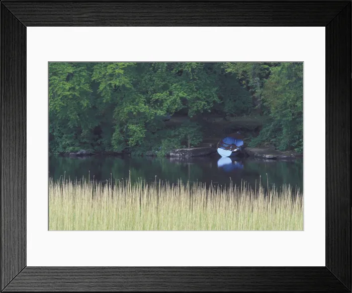 Framed Print : DDE-90032018 Framed Print : DDE-90032018