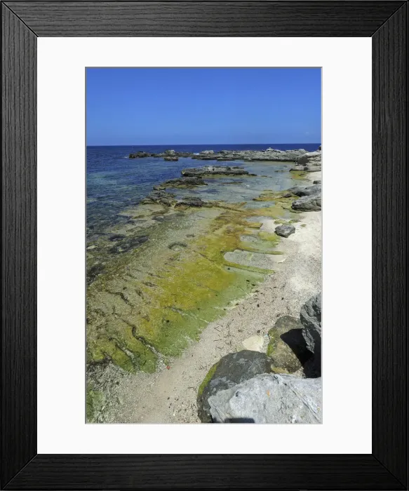 Framed Print : DDE-90032022 Framed Print : DDE-90032022