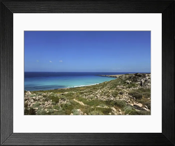 Framed Print : DDE-90032023 Framed Print : DDE-90032023
