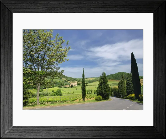 Framed Print : DDE-90032032 Framed Print : DDE-90032032