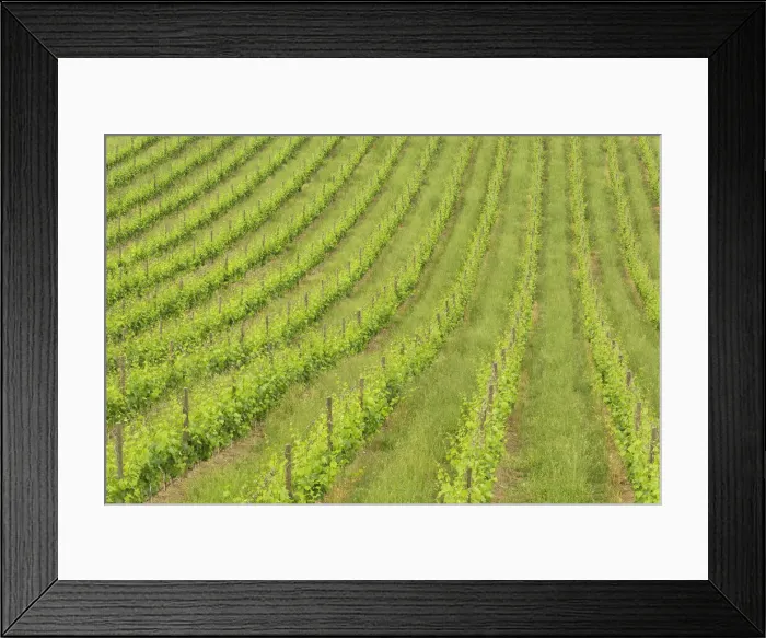 Framed Print : DDE-90032034 Framed Print : DDE-90032034