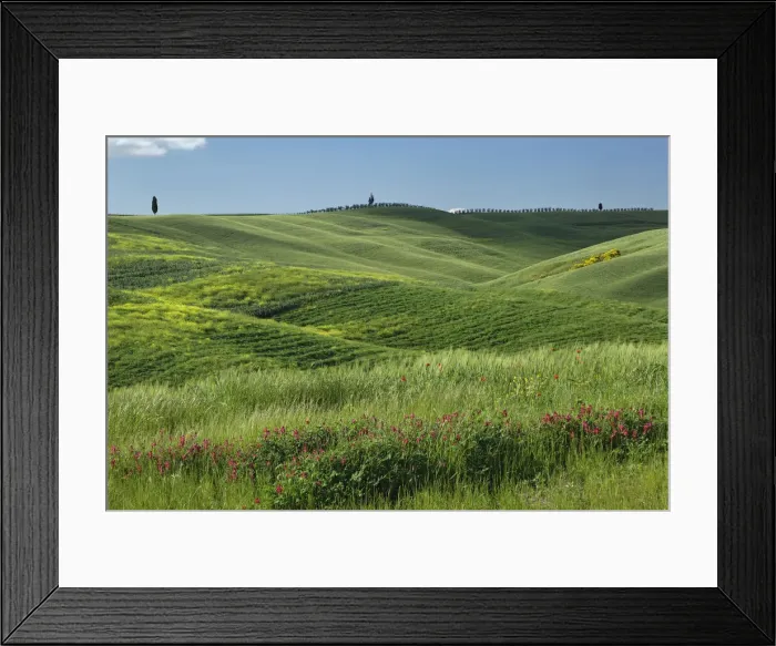 Framed Print : DDE-90032039 Framed Print : DDE-90032039