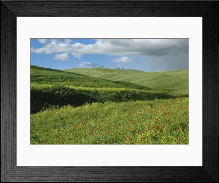Framed Print : DDE-90032041 Framed Print : DDE-90032041