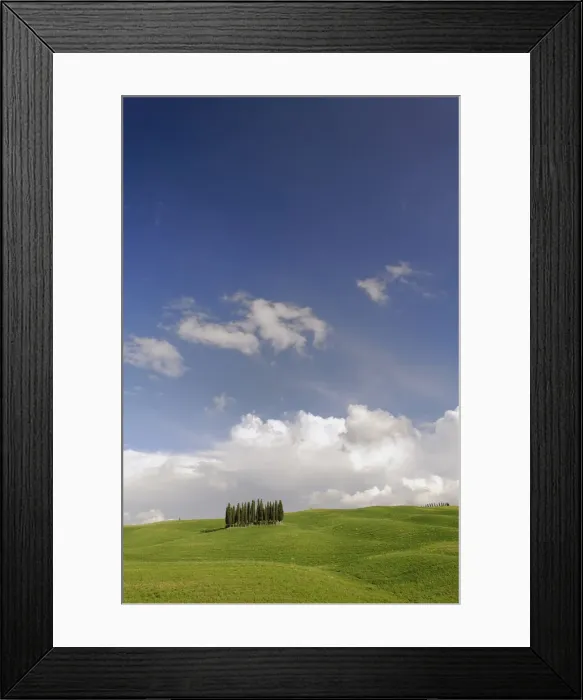 Framed Print : DDE-90032042 Framed Print : DDE-90032042