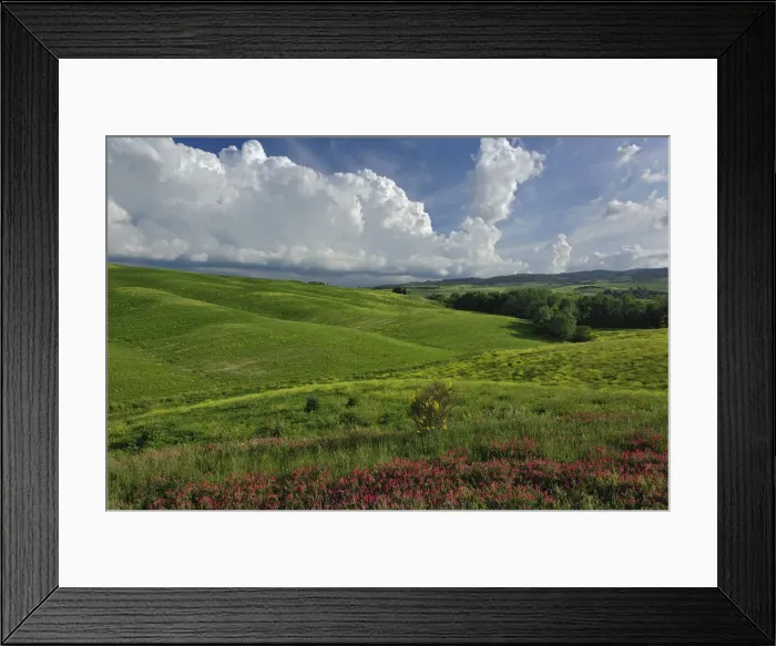 Framed Print : DDE-90032044 Framed Print : DDE-90032044