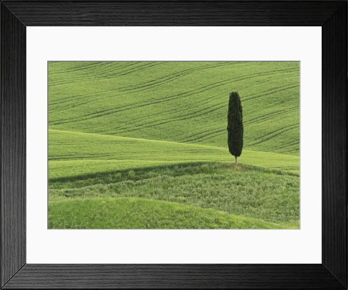 Framed Print : DDE-90032050 Framed Print : DDE-90032050