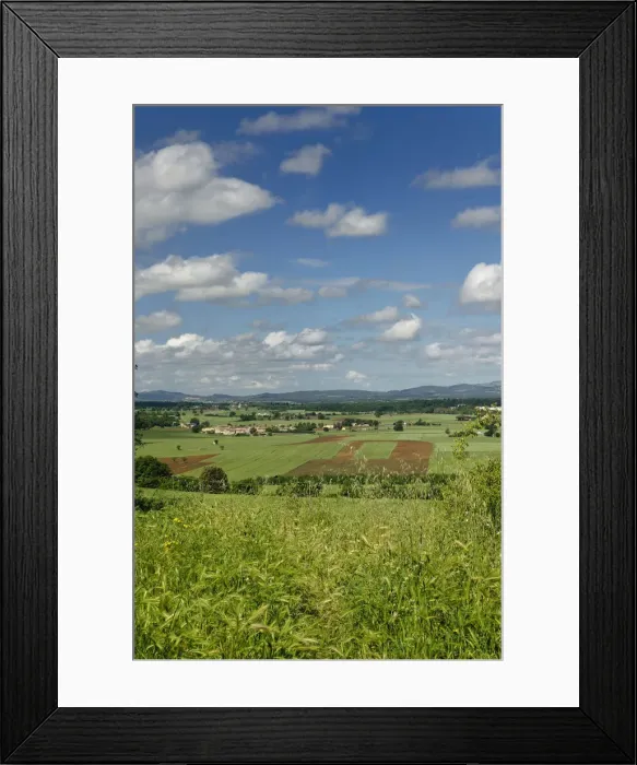 Framed Print : DDE-90032053 Framed Print : DDE-90032053