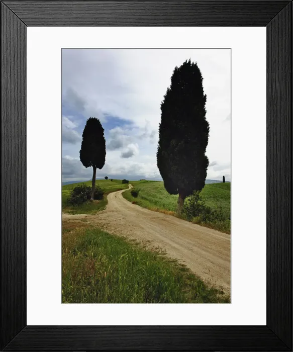 Framed Print : DDE-90032059 Framed Print : DDE-90032059
