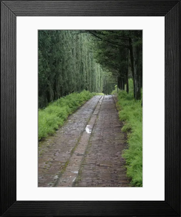 Framed Print : DDE-90032061