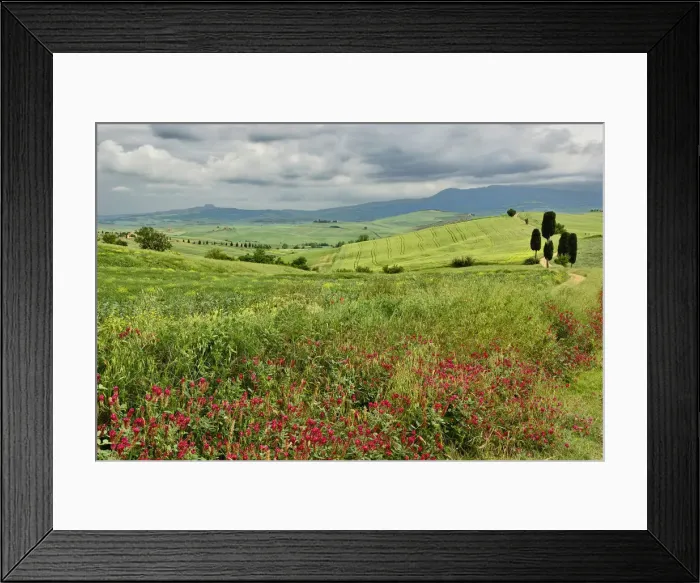Framed Print : DDE-90032060 Framed Print : DDE-90032060
