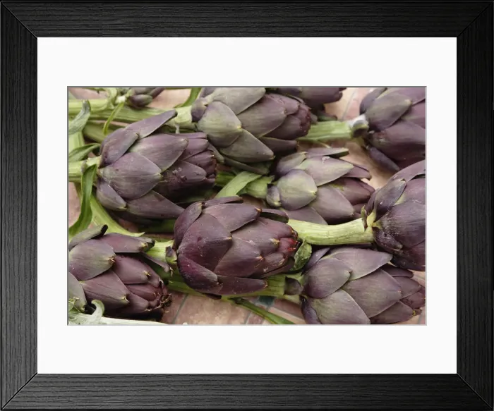 Framed Print : DDE-90032062 Framed Print : DDE-90032062