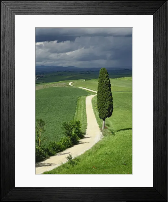 Framed Print : DDE-90032064 Framed Print : DDE-90032064