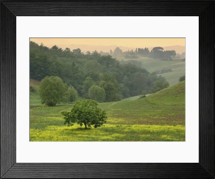 Framed Print : DDE-90032068 Framed Print : DDE-90032068