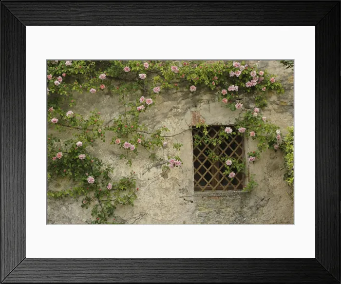Framed Print : DDE-90032070 Framed Print : DDE-90032070