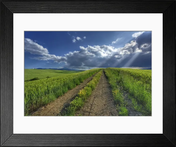 Framed Print : DDE-90032073 Framed Print : DDE-90032073