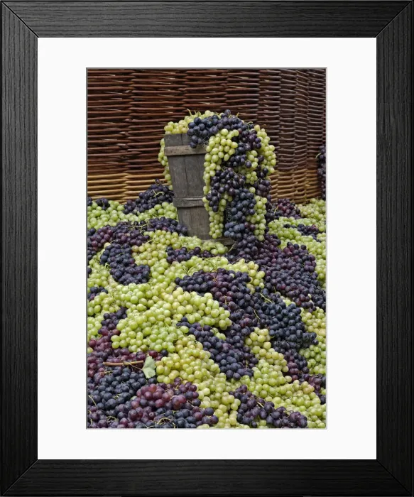 Framed Print : DDE-90032074 Framed Print : DDE-90032074