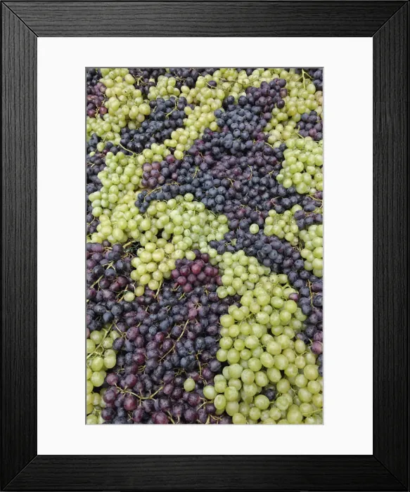 Framed Print : DDE-90032075 Framed Print : DDE-90032075