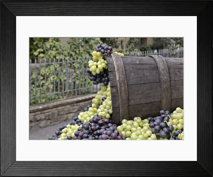 Framed Print : DDE-90032076 Framed Print : DDE-90032076