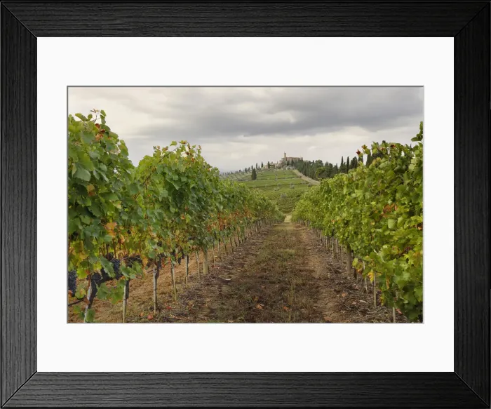 Framed Print : DDE-90032078 Framed Print : DDE-90032078