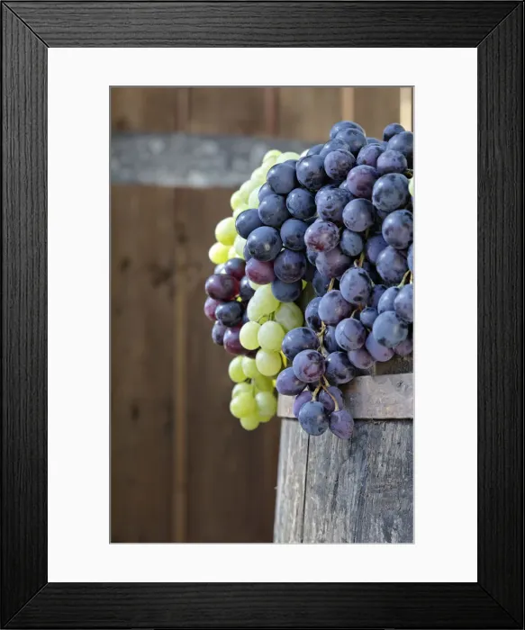 Framed Print : DDE-90032079 Framed Print : DDE-90032079