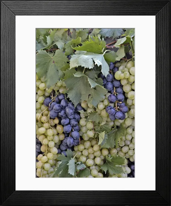 Framed Print : DDE-90032080 Framed Print : DDE-90032080