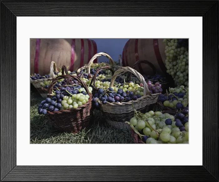 Framed Print : DDE-90032081 Framed Print : DDE-90032081