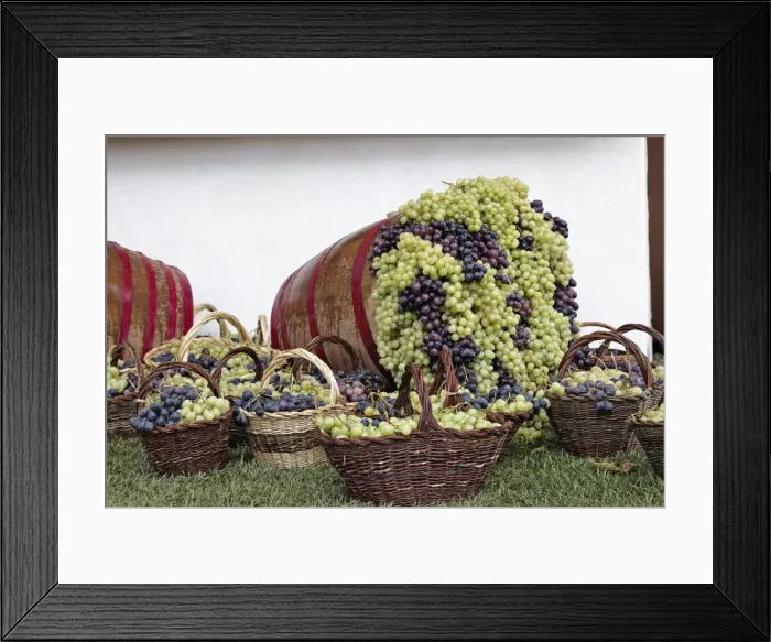 Framed Print : DDE-90032082 Framed Print : DDE-90032082