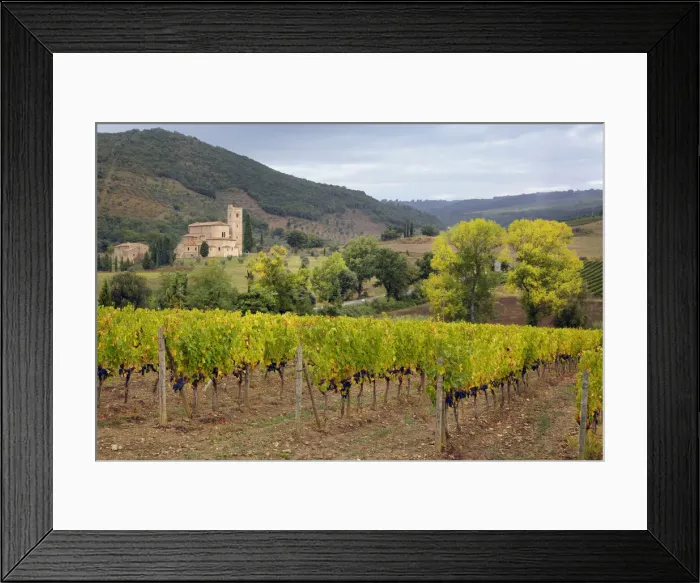 Framed Print : DDE-90032086 Framed Print : DDE-90032086