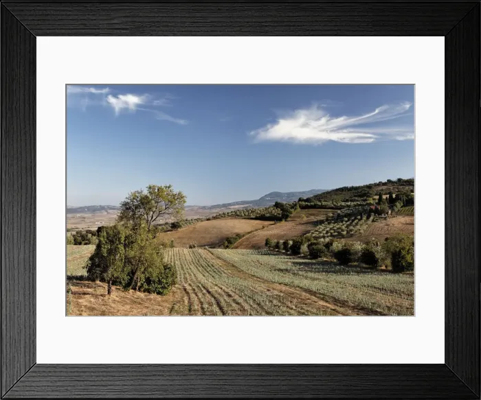 Framed Print : DDE-90032088 Framed Print : DDE-90032088
