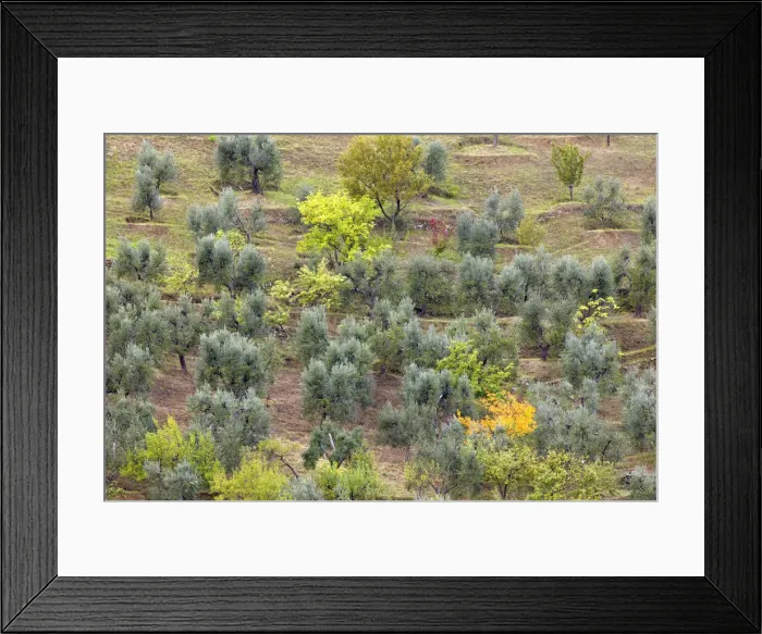 Framed Print : DDE-90032089 Framed Print : DDE-90032089