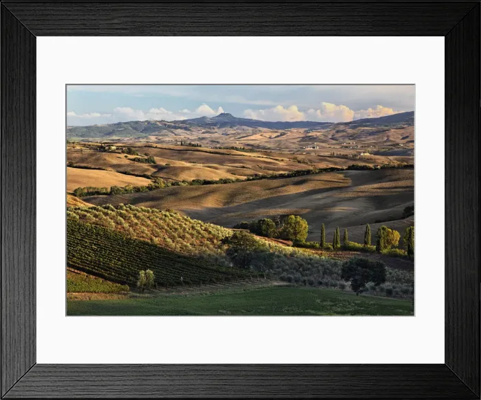 Framed Print : DDE-90032093