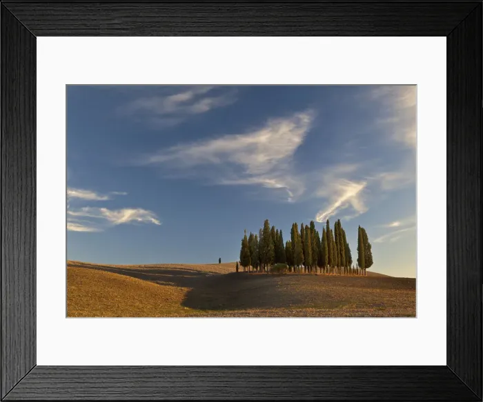 Framed Print : DDE-90032095 Framed Print : DDE-90032095
